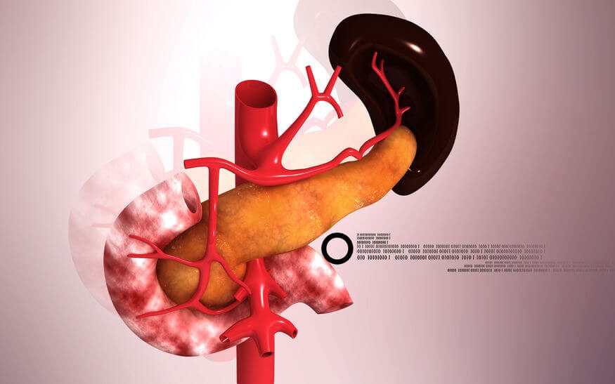סרטן הלבלב: האבחון והטיפול במחלה