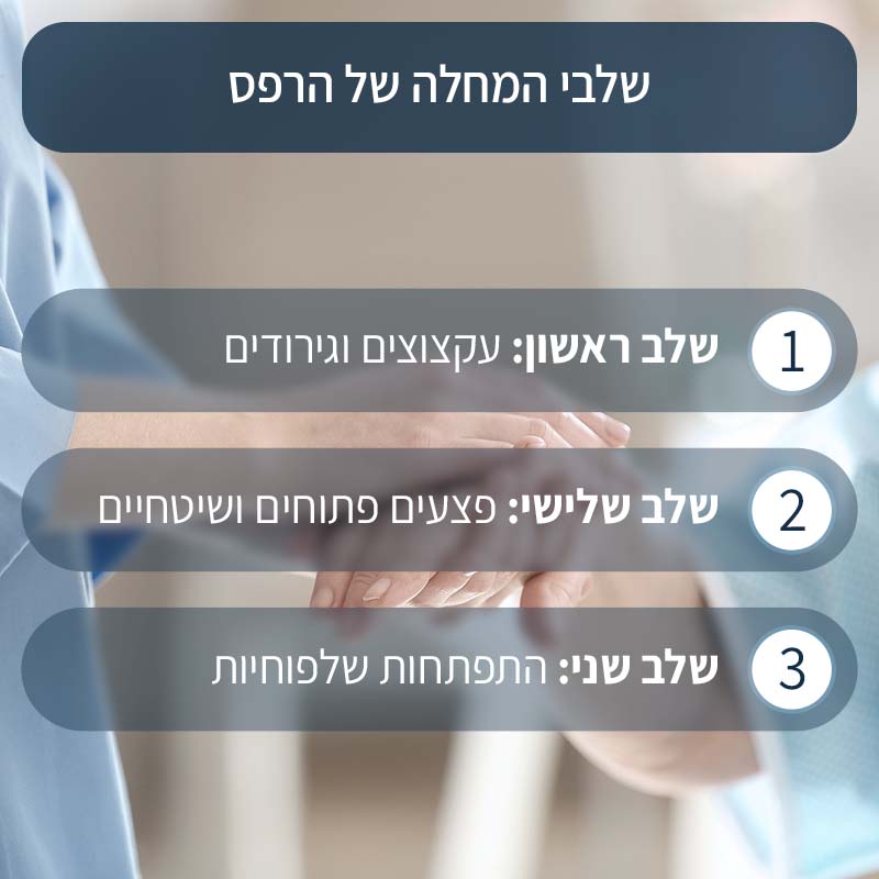 אינפורגרפיקה של שלבי מחלת ההרפס