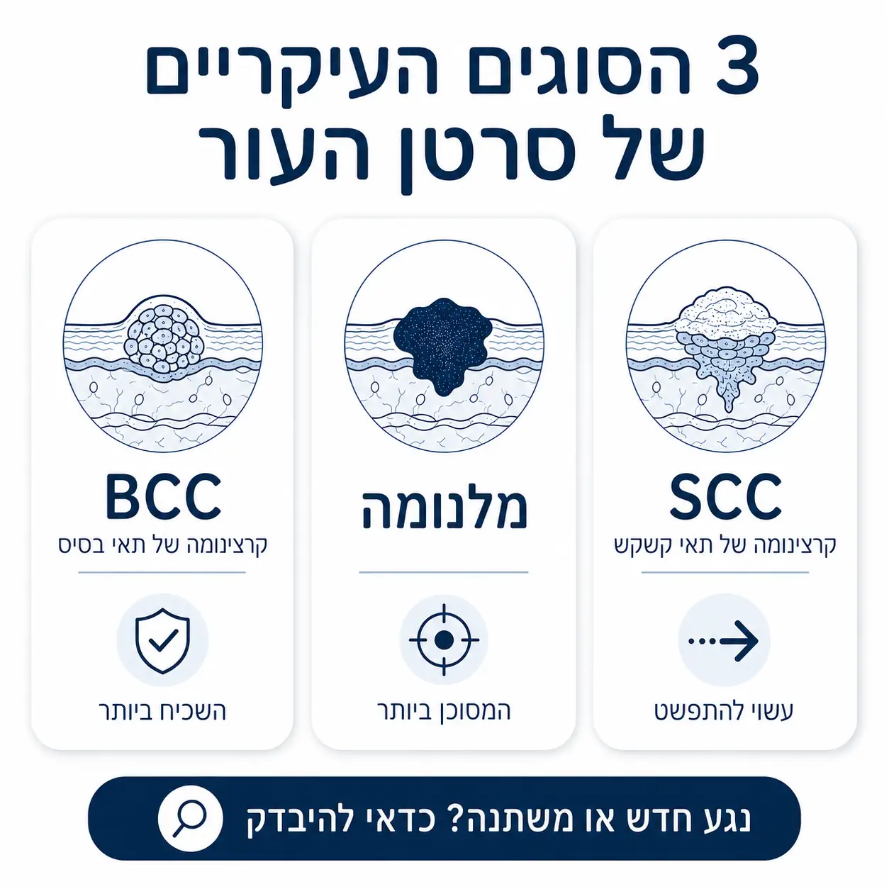 סרטן עור | איפנוגרפיקה