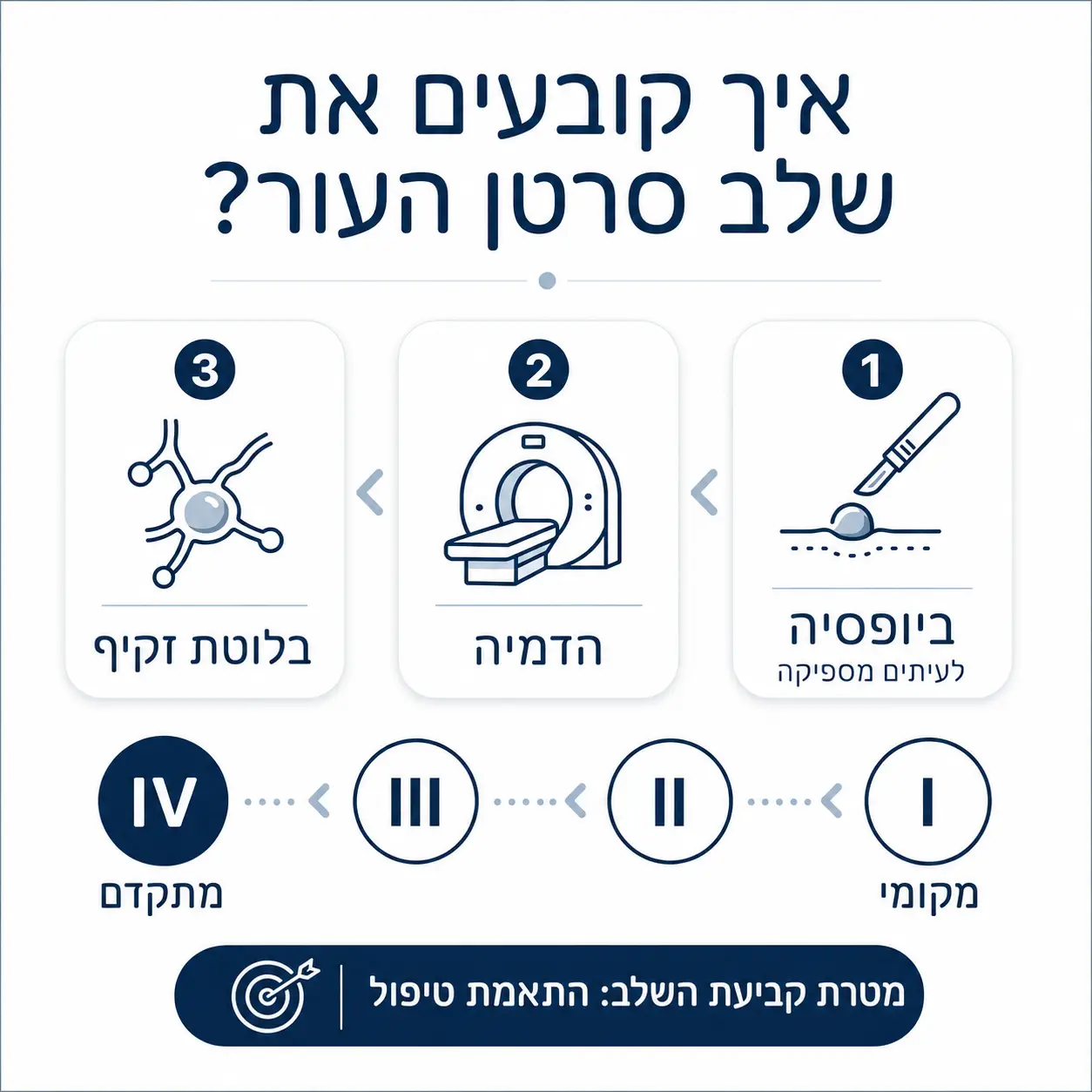 סרטן עור | איפנוגרפיקה
