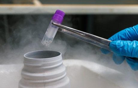 הקפאת ביציות: מה התהליך ולמי זה מתאים? המדריך המלא